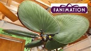 ✅ browse our daily deals for even more savings! Fanimation Islander Ceiling Fan Youtube