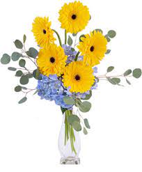 Check spelling or type a new query. New Baby Flowers From Suntree Florist Gifts Your Local Melbourne Fl