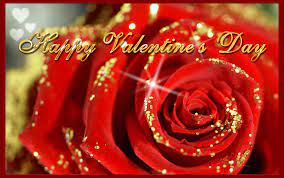 Flowers mothers love roses day valentines nature rose best happy. Beautiful Valentine Day Rose Images Free Download Wallpaper