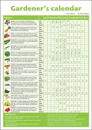 when to plant vegetables chart thehauntmusic com