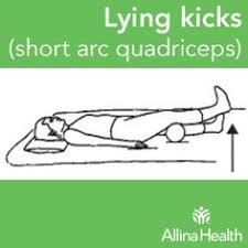 11 Best Knee Replacement Exercises Images Knee Exercises