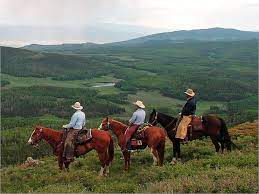 Fishlake National Forest Horse Riding Camping Utah Hiking Trails Horses Lake Fishing