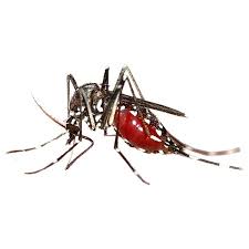 Tell us about your project and we'll match you to the perfect pros. Pest Control In Minneapolis St Paul Mn And Western Wi