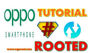 Pin Di Rooted