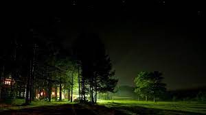 Awesome Night Nature Mobile Wallpaper Night Forest Hd Wallpaper Nature