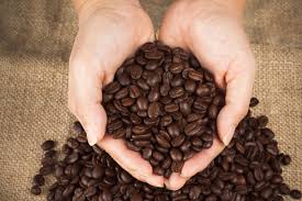 A balanced coffee bean will be neither too acidic nor very mellow and involved a complexity of. Coffee Roasts Explained The Ultimate Guide To Understanding Coffee Beans
