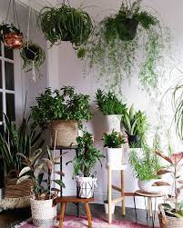 Indoor Plants Indoor Plants Decoration House Plants Mini Gardens Low Light Plants Ideas House Plants Indoor Indoor Plants Interior Plants
