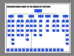 bureau of customs