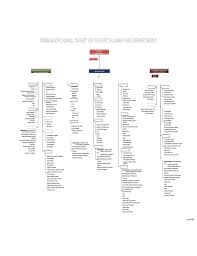 Fire Department Organizational Chart Petaluma California