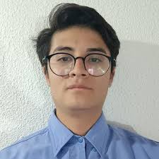 DIEGO ARMANDO RAMIREZ SALINAS