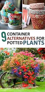 Creative Container Gardening Ideas Container Gardening Plants Garden Containers