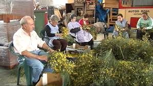 We did not find results for: Las Asociaciones Son Responsables De Muchas De Las Fiestas De Los Pueblos En Asturias Noticias Rtpa