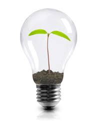 Light Bulb With Plant Explorevenango Com