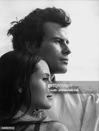 238 Miranda Rights Stock Photos, High-Res Pictures, and Images