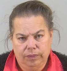 Leesburg woman working at McDonald's in The Villages lands in jail after  traffic stop