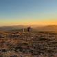 Bogong to Hotham Rooftop Run