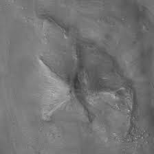 Image result for Cydonia