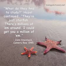 Download 300+ royalty free starfish quotes vector images. Quotes About Biology Biology Dictionary