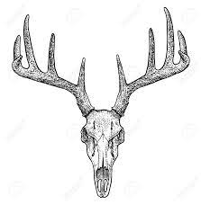 See more ideas about skull drawing, deer skull drawing, hunting tattoos. Deer Skull Illustration Drawing Engraving Ink Line Art Vector Royalty Free Cliparts Vectors And Stock Illustration Image 96635931