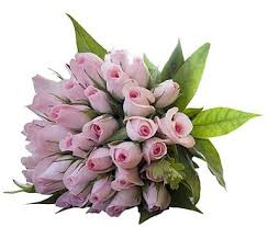 Maybe you would like to learn more about one of these? About Us And Business Hours Parker S Flowers Gifts Port Charlotte Fl 33954