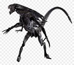 Few xenomorph places and locations you might have not seen. Xenomorph Queen Https 78 Media Tumblr Com Tumblr Alien Queen Png Clipart 66555 Pikpng