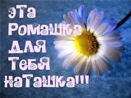 Элитные и недорогие, в центре или на окраине, весь спектр услуг. Dm Upuvxxg 2vm