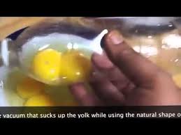 Khasiat kuning telur berikutnya untuk kucing adalah bisa mempercepat proses penyembuuhan. Cara Mudah Nak Asingkan Telur Kuning Dan Putih Youtube