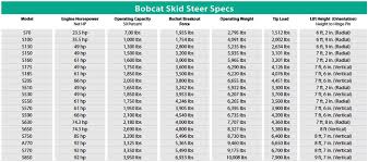 Bobcat Size Comparison Related Keywords Suggestions