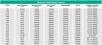 bobcat size comparison related keywords suggestions