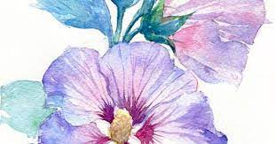 每日一花10 2 haru hello flower drawing floral watercolor botanical painting