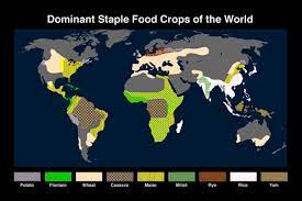 Key Concept 1 2 The Neolithic Revolution And Early Agricultural Societies Ap World History