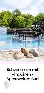Schwimmen Mit Pinguinen Spreewelten Bad Calistas Traum Schwimmen Sternenhimmel Urlaub