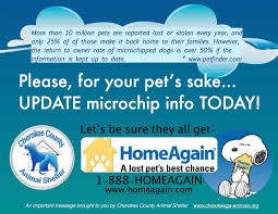 We Microchip Any Pet At The Shelter For 20 Find Pets Pets Animal Shelter