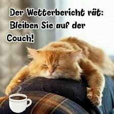 Funny Lustig Funny Lustig Lustige Tierbilder Mit Spruchen