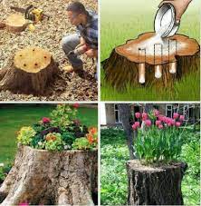 Tree Stump Mini Garden Tree Stump Decor Garden Yard Ideas Garden Projects