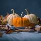Gourd Centerpieces event in Salem, MA