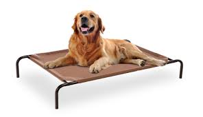 Get an elevated dog bed to lift your dog off the cold floor. Frisco Steel Framed Elevated Dog Bed Terracotta Large Chewy Com