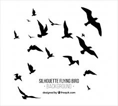 Flying Bird Of Paradise Drawing Download Silhouette Flying Bird Background For Free Flying Bird Silhouette Birds Flying Bird Silhouette