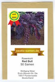 Welcome to the world of red bull. Shop Exotic Samen Roter Rosenkohl Red Bull
