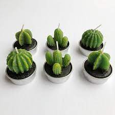 Ornerx decorative cactus candles tea light candles 6 pcs. Succulent Candles Cactus Candles Candles Succulent Tea Lights Set Of 6 Cactus Candles Succulents Candles Tea Candles