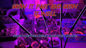 We did not find results for: Fujiway 4 Head 80 Led Plant Grow Light Youtube