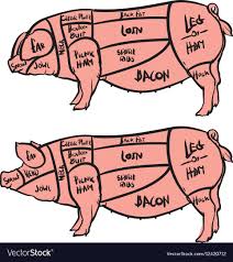 Cut Of Meat Set Hand Drawn Pig Pork Cuts Diagram