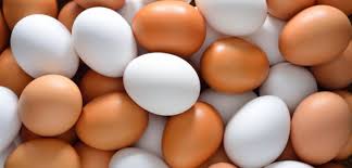 Son mejores los huevos blancos o los huevos de color? | Sociedad |  BioBioChile