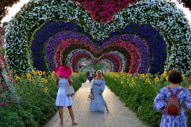 Taman bunga celosia hadir melengkapi daftar tempat wisata favorit di semarang. Foto Berkunjung Ke Dubai Miracle Garden Taman Bunga Terbesar Di Dunia Kumparan Com