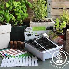 It includes a glass container, soil, moss, two types of pebbles, and even a few decorative items. 31 Of The Best Gardening Kits Gardener S Path