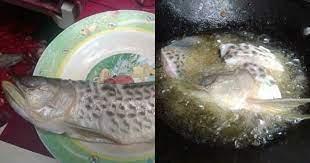 This Indonesian Man Had A Pet Arowana Fish But Then His Dad Fried It For Lunch Culture