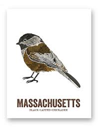 Different birds have been officially selected by different state legislatures to be a state symbol. Massachusetts State Bird Nature Art Outdoor Art Vintage Map Etsy Vintage Maps Art Nature Art Outdoor Art