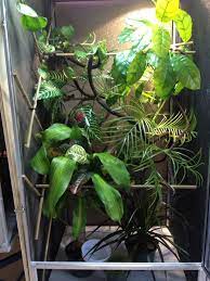 Zoidberg S Home Chameleon Cage Enclosure Chameleon Cage Chameleon Chameleon Terrarium