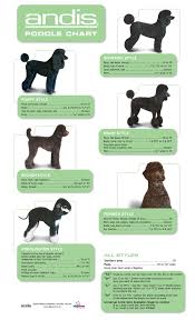 Grooming Guide Page 3 All Groom