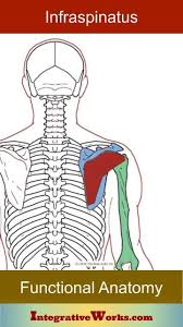 Pin On Pain Management